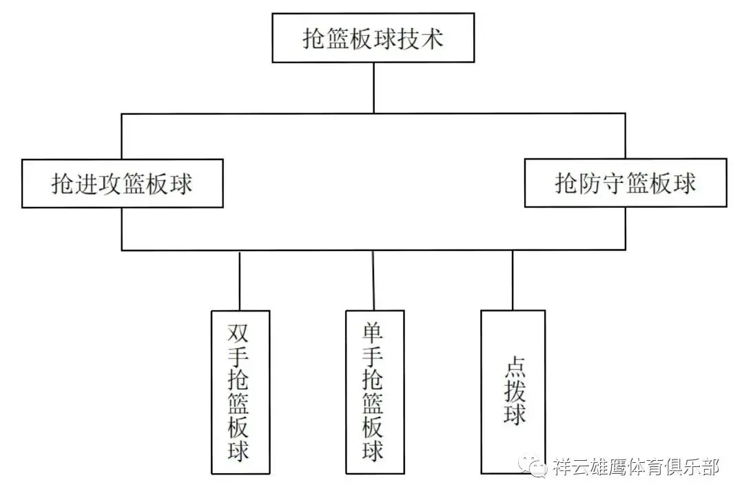 亚军球队的训练方案如何帮助你快速提升篮球技能_2
